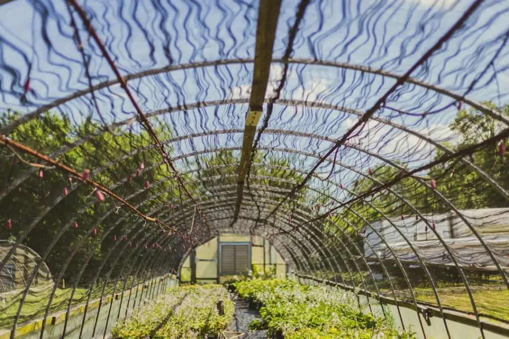 华南地区给排水工程中塑料管材管件的选型要点分析
