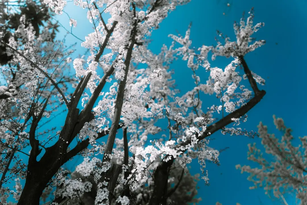 富仕林HDPE双壁波纹管在市政排水工程中的应用案例